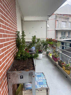 Appartement - 64 m² - 3 pièces