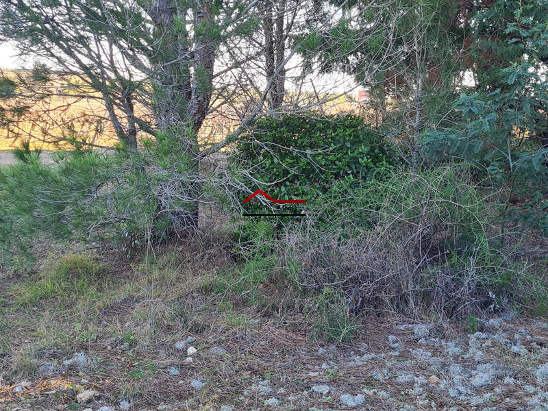 Terrain agricole - 5 730 m²