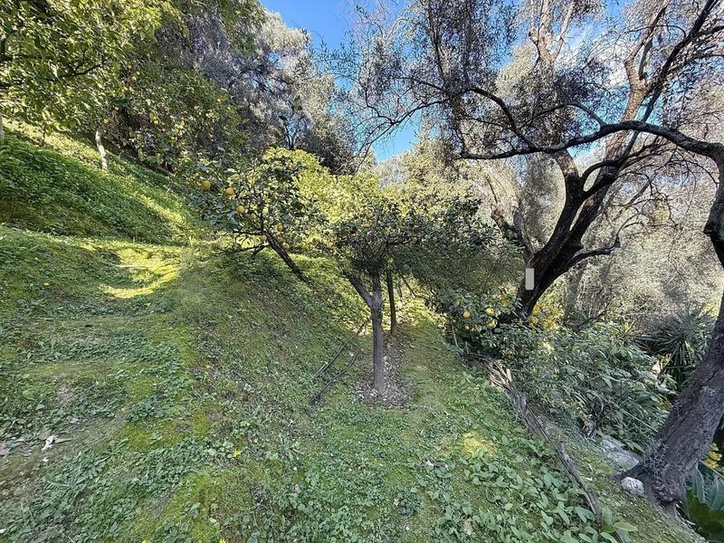 Propriété - 650 m² - 14 pièces