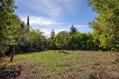 Terrain - 1 500 m²