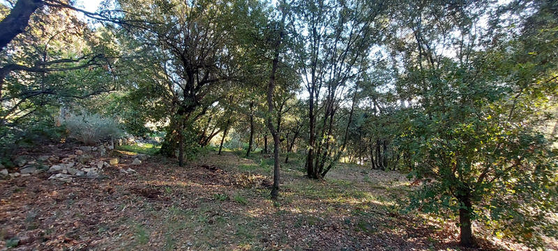 Villa - 100 m² - 4 pièces