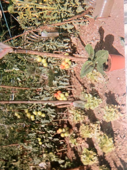 Maison - 65 m² - 5 pièces