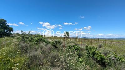 Terrain agricole - 7 477 m²