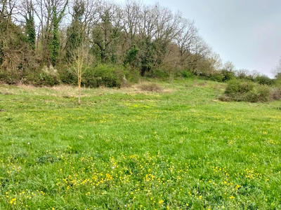Terrain constructible - 2 213 m²