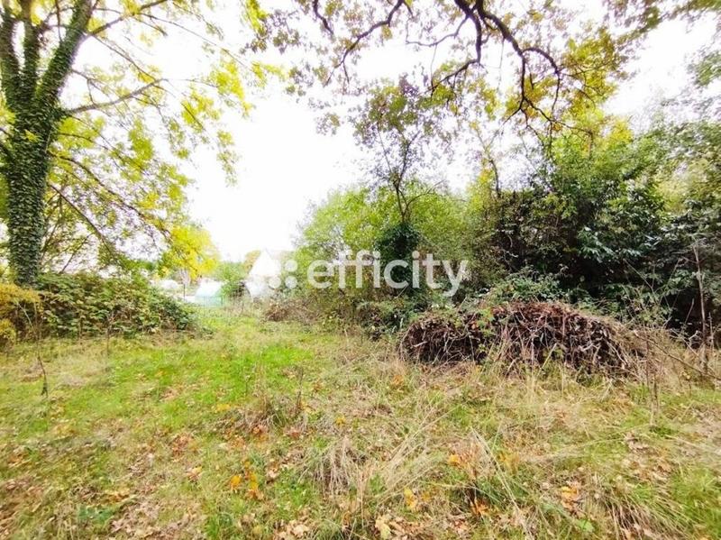 Terrain constructible - 1 419 m²