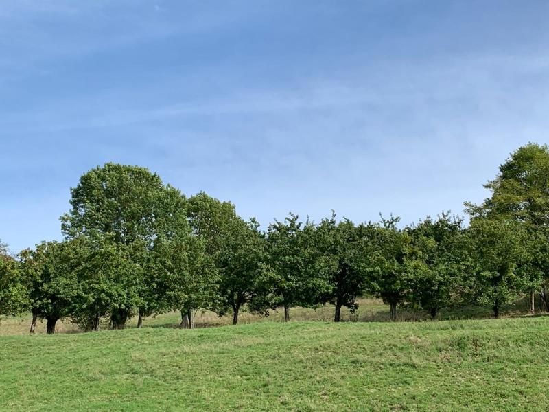 Maison - 420 m² - 11 pièces