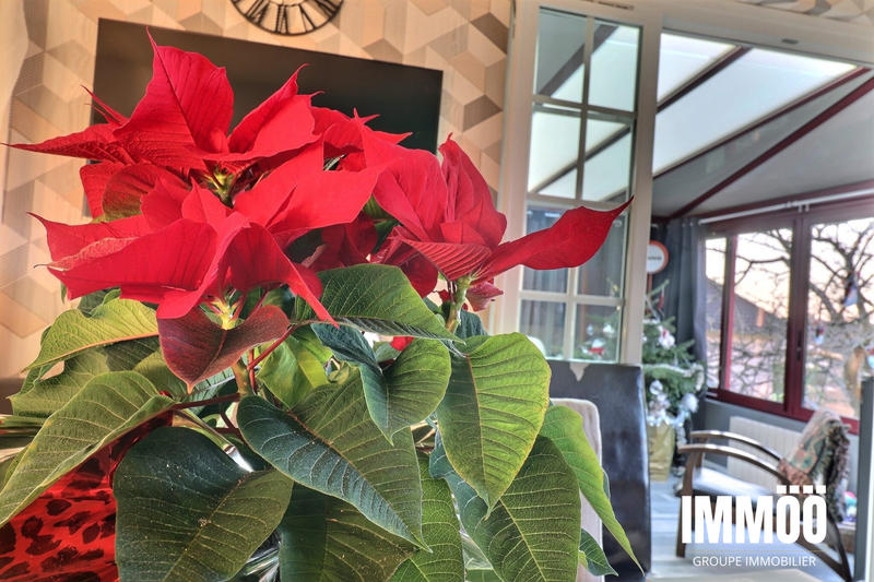 Maison - 95 m² - 5 pièces