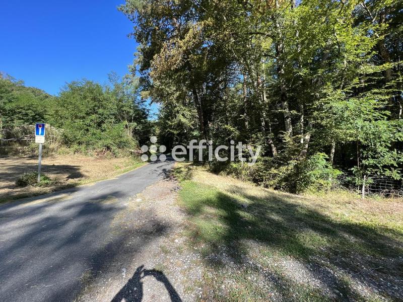 Terrain - 14 696 m²