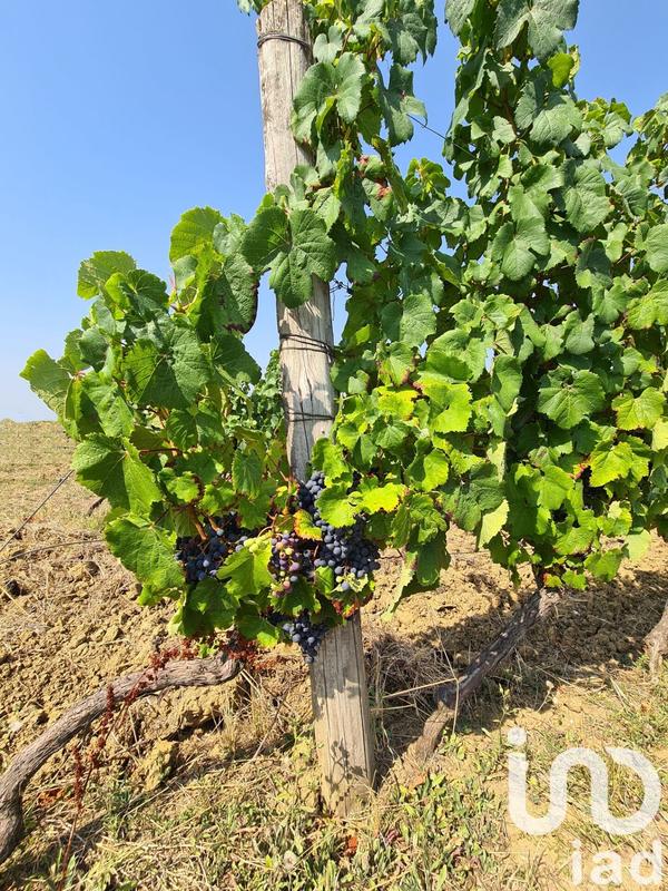 Terrain agricole - 20 497 m²