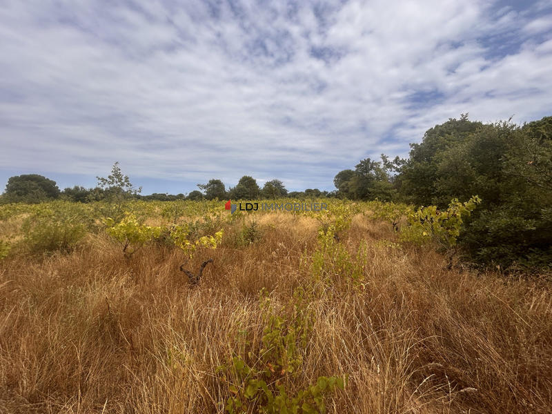 Terrain agricole - 5 000 m²