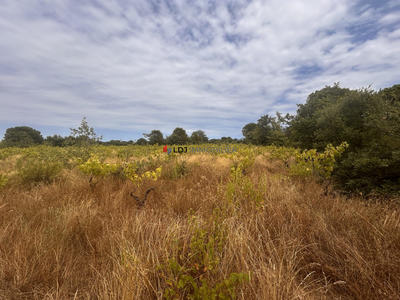 Terrain agricole - 5 000 m²