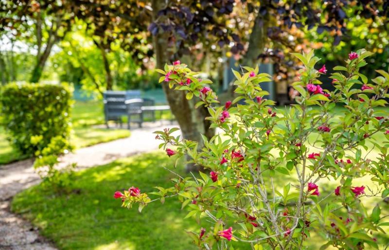 Fonds de commerce - 820 m²