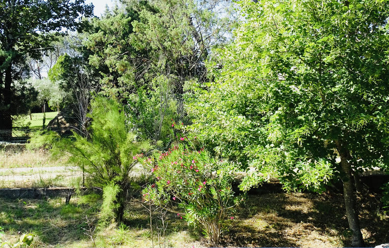 Maison - 207 m² - 8 pièces