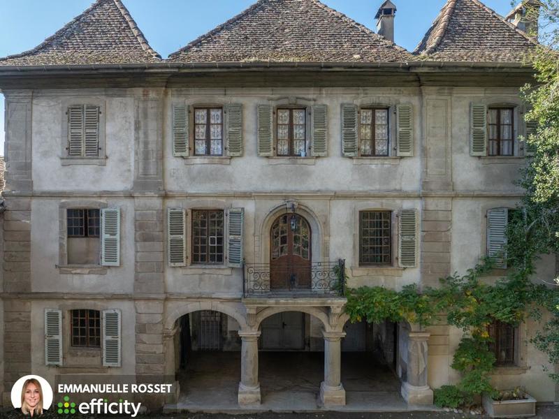 Château - 1 131 m² - 22 pièces