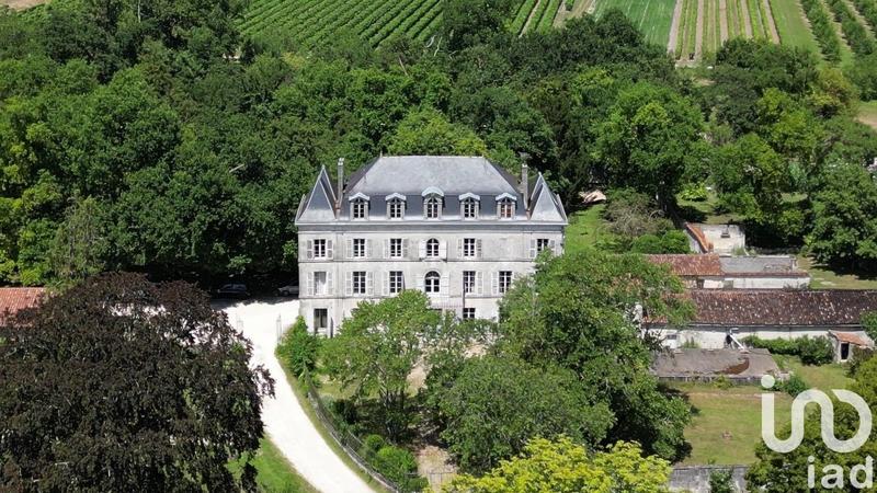 Château - 480 m² - 16 pièces