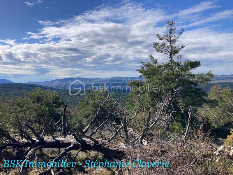 Terrain agricole - 10 100 m²