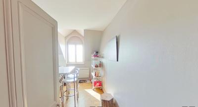 Studio - 30 m² - 1 pièce