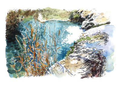 Exposition « la Dourbie, Exploration Sensible d’Une Rivière »