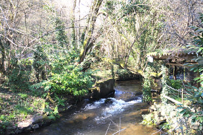 Maison - 131 m² - 7 pièces