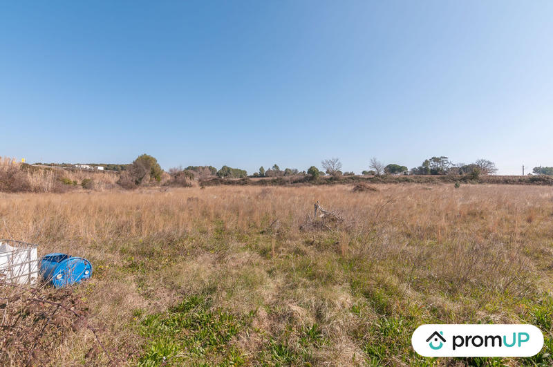 Terrain agricole - 5 000 m²