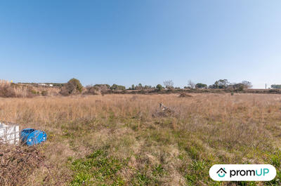 Terrain agricole - 5 000 m²