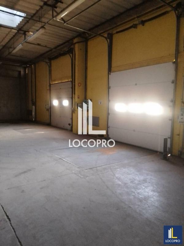 Local d'activité / Entrepôt - 3 000 m²