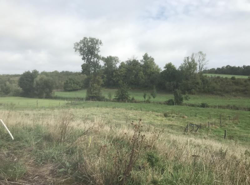 Ferme - 187 m² - 7 pièces