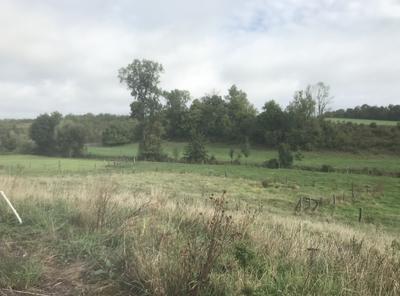 Ferme - 187 m² - 7 pièces