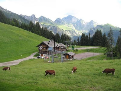 Appartement - 23 m² - 2 pièces