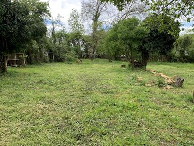 Maison de campagne - 84 m² - 5 pièces