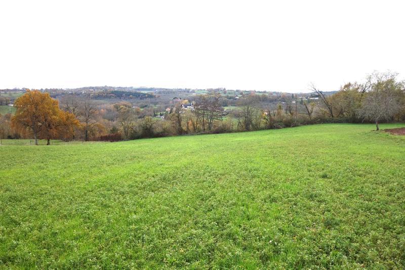 Terrain - 13 556 m²