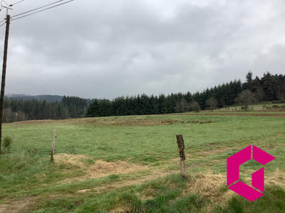 Terrain - 21 360 m²