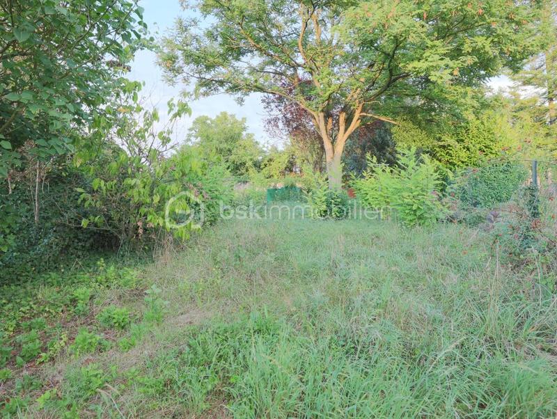 Maison ancienne - 130 m² - 5 pièces