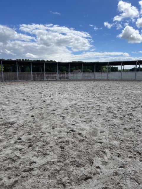 Maison de domaine équestre - 800 m² - 25 pièces