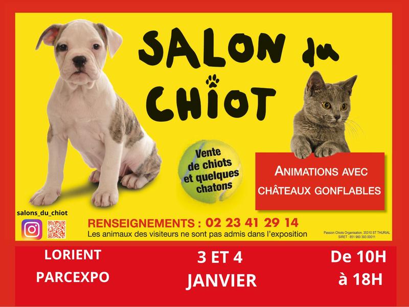 Salon du Chiot