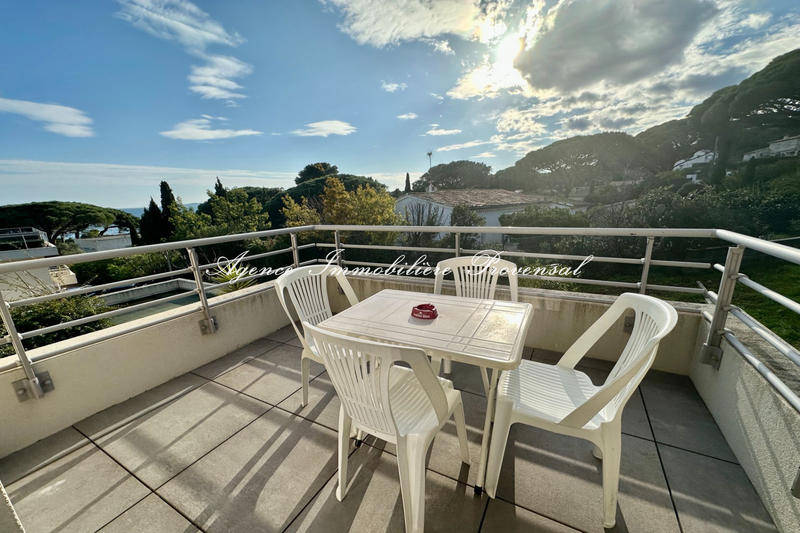 Appartement - 28 m² - 1 pièce