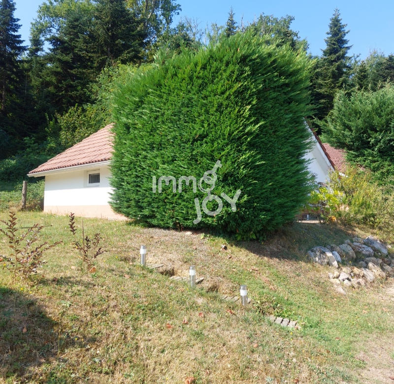 Châlet - 43 m² - 3 pièces