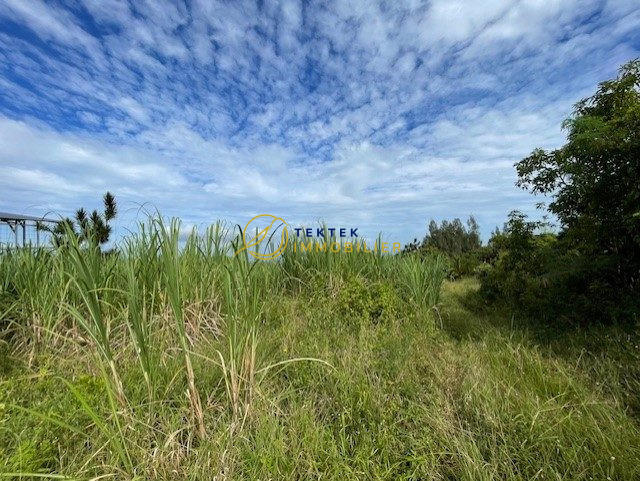 Terrain commercial - 1 000 m²