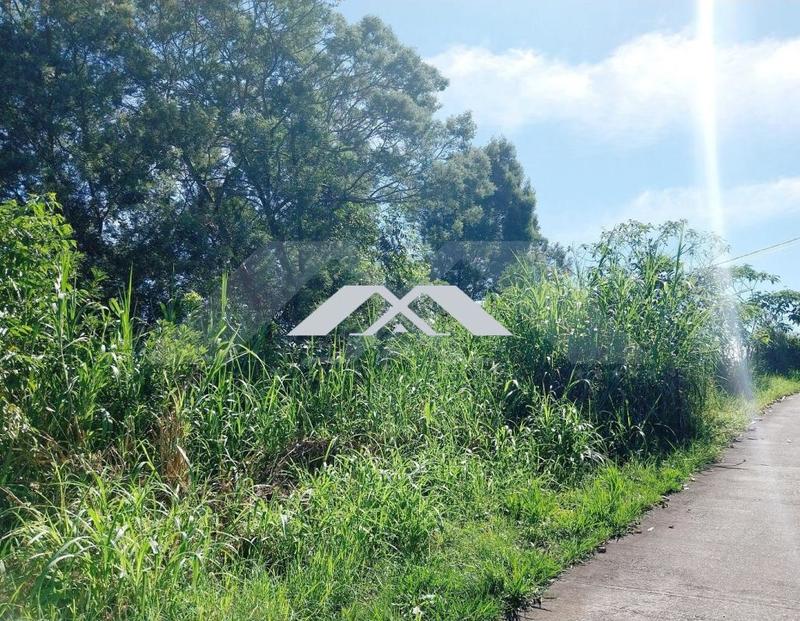 Maison - 90 m² - 3 pièces