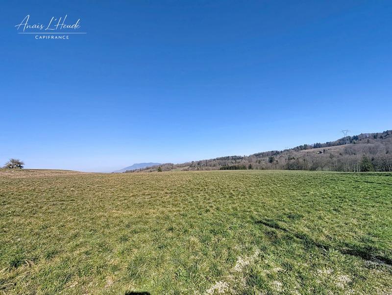 Appartement - 209 m² - 6 pièces