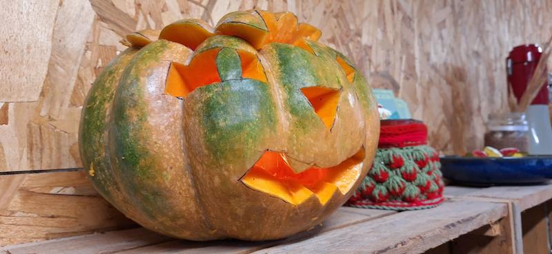 Atelier d'Halloween à la ferme Aïoli Caganis