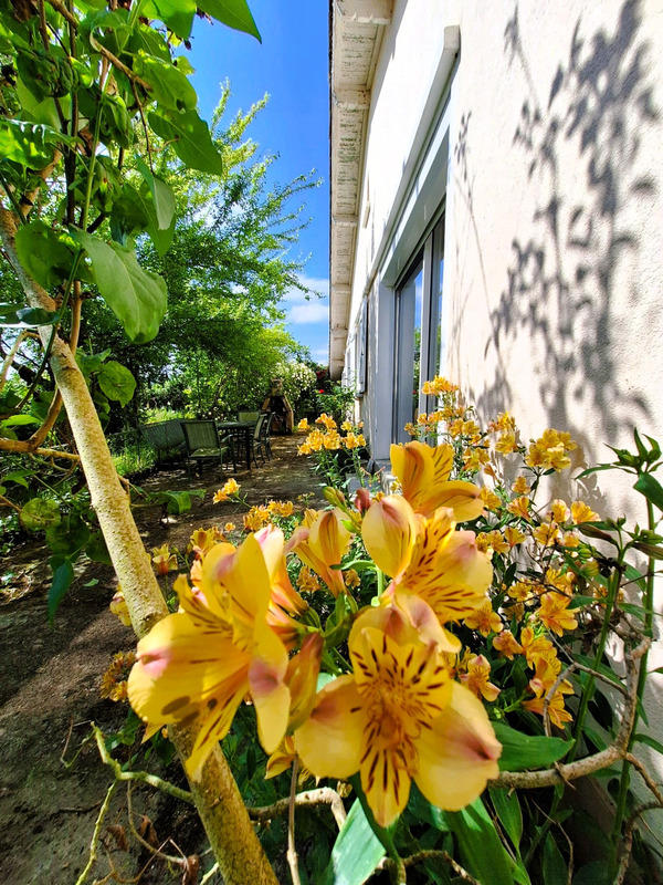 Maison - 122 m² - 5 pièces