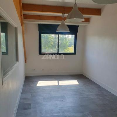 Entrepôt - 260 m² - 5 pièces