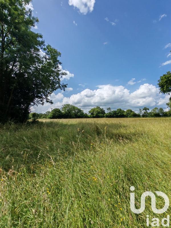 Terrain - 31 982 m²