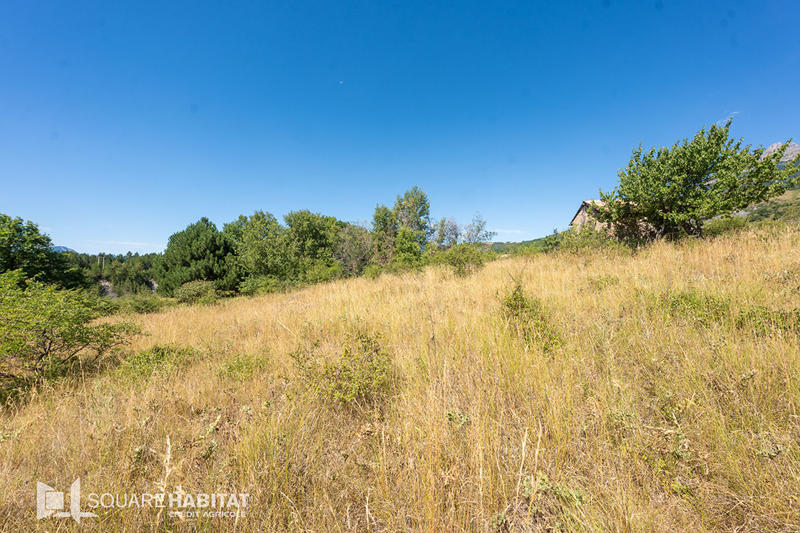 Terrain - 2 395 m²