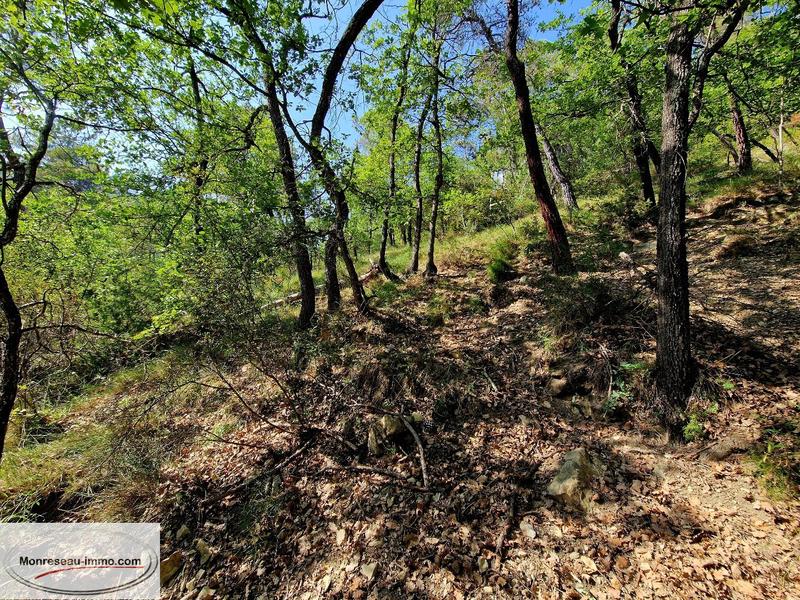 Terrain inconstructible - 1 763 m²