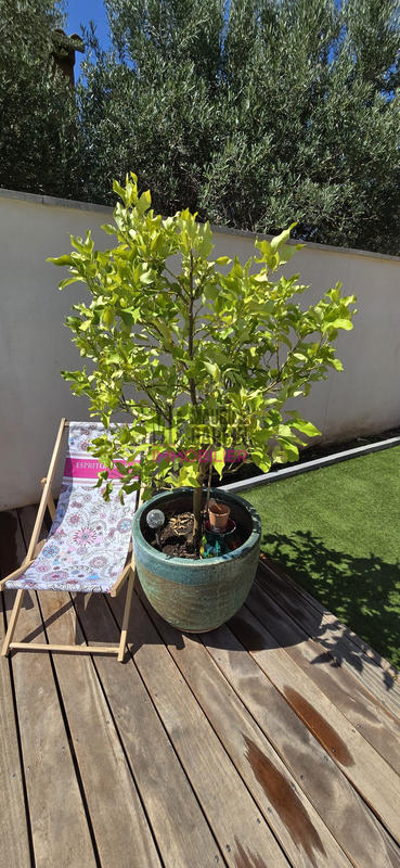 Maison - 124 m² - 4 pièces