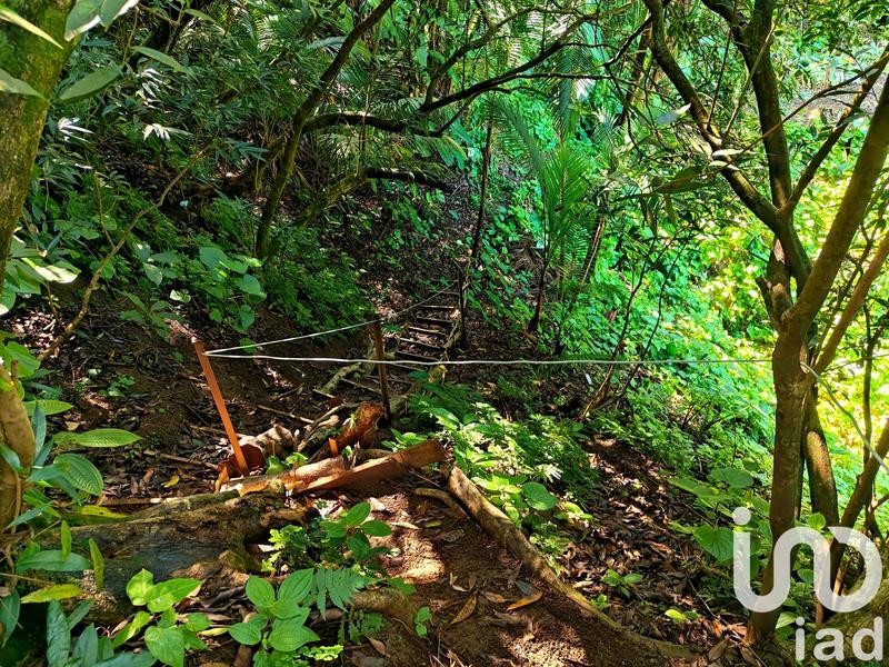 Maison - 124 m² - 5 pièces