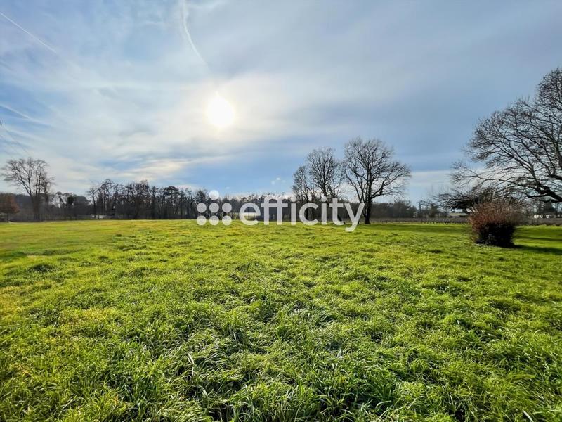 Terrain constructible - 6 390 m²