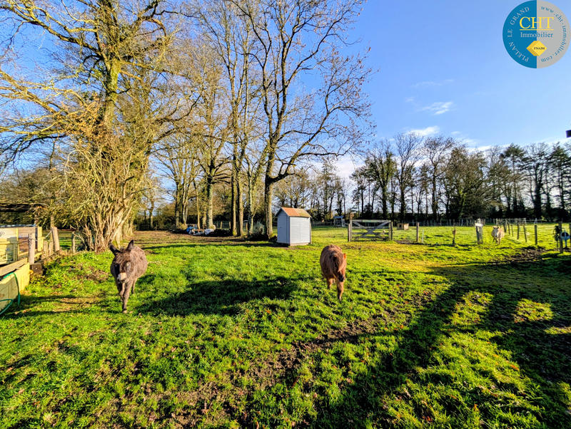 Maison - 230 m² - 6 pièces